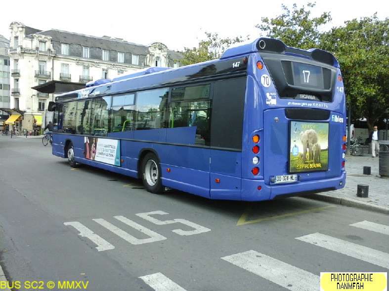 Bus Sc2.jpg